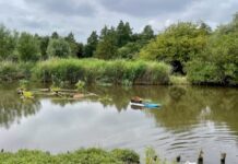 ‘Drijvende volkstuin’ moet otter naar Westerpark lokken