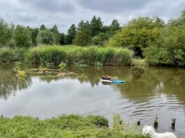 ‘Drijvende volkstuin’ moet otter naar Westerpark lokken