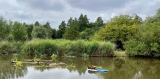‘Drijvende volkstuin’ moet otter naar Westerpark lokken