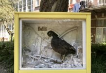 50 kastjes met kunst buiten op WG-terrein