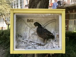 50 kastjes met kunst buiten op WG-terrein