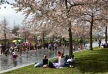 Lekker spartelen in peuterbadjes in de buurt