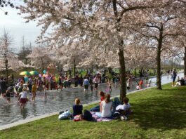 Lekker spartelen in peuterbadjes in de buurt