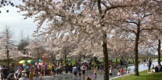 Lekker spartelen in peuterbadjes in de buurt