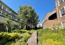 Beestjes en eetbaar groen – Wonderen van West