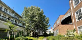 Beestjes en eetbaar groen – Wonderen van West