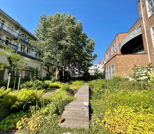 Beestjes en eetbaar groen – Wonderen van West