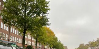 Baarsjesweg: nieuwe kade met veel minder parkeerplekken