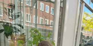 West Begroot gaat weer van start! – Column Ester Fabriek, dagelijks bestuurder stadsdeel West