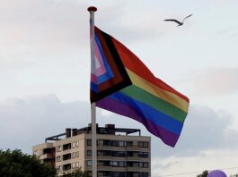 Regenboogvlag bij Sloterplas in weekend gestolen