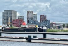 Visdief voelt zich thuis in Houthaven