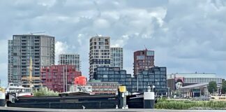 Visdief voelt zich thuis in Houthaven