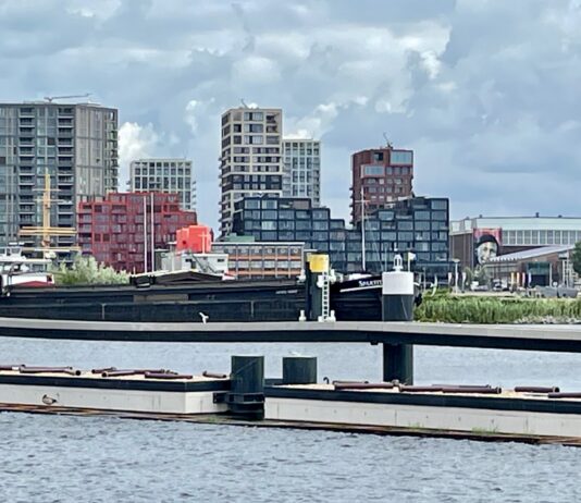 Visdief voelt zich thuis in Houthaven