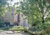 Zomerstorm Poly: bomen omgewaaid, geen trams, bussen en treinen