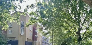 Zomerstorm Poly: bomen omgewaaid, geen trams, bussen en treinen