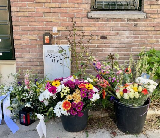 Dodelijke steekpartij Robert Scottstraat: zorgsysteem rond dader schoot tekort