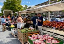 Spannende zomer voor Bos en Lommermarkt