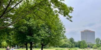 Viering 50-jarig Rembrandtpark met feest en activiteiten