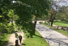 Vleermuisexcursie in het Vondelpark: avontuur voor jong en oud