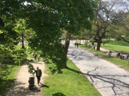 Vleermuisexcursie in het Vondelpark: avontuur voor jong en oud