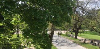 Vleermuisexcursie in het Vondelpark: avontuur voor jong en oud