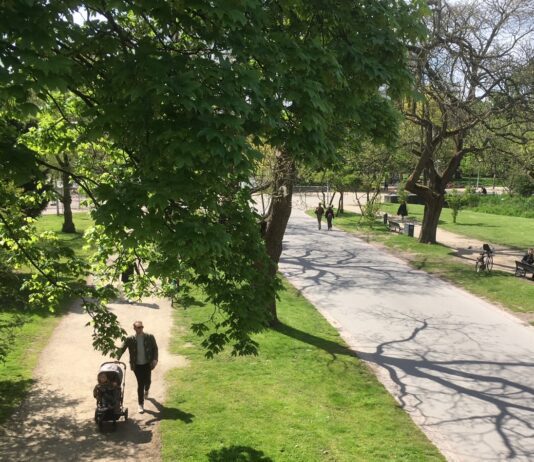 Vleermuisexcursie in het Vondelpark: avontuur voor jong en oud