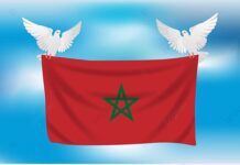 Zware aardbeving Marokko: eerste initiatieven voor hulp op gang