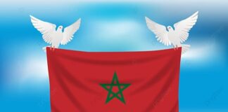 Zware aardbeving Marokko: eerste initiatieven voor hulp op gang