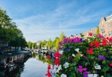 Stijging inbraken Da Costabuurt