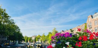 Stijging inbraken Da Costabuurt