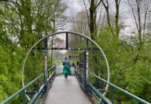 Ritueel of niet? Vragen na vondst hanenkop en konijn in parken