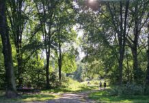 Vier 50 jaar Rembrandtpark op 9 september