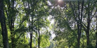 Vier 50 jaar Rembrandtpark op 9 september