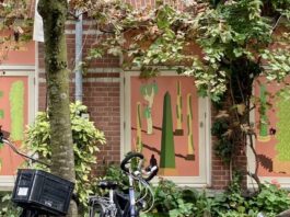 Kunstenaar Teun Castelein duikt in de Bellamybuurt