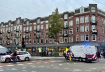 Dodelijk slachtoffer aanrijding stak zebrapad over bij groen voetgangerslicht