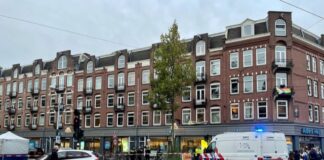 Dodelijk slachtoffer aanrijding stak zebrapad over bij groen voetgangerslicht