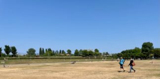 ‘Stop festivals die zware schade toebrengen aan park’