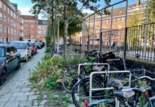 Beter onderhoud nodig voor Paramariboplein