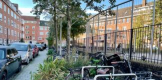 Beter onderhoud nodig voor Paramariboplein