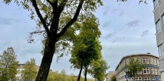 Tweede Kostverlorenkade opgeknapt, 20 bomen gekapt