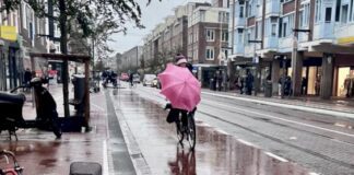 Waarschuwing storm Ciarán: ’Ga parken niet in’