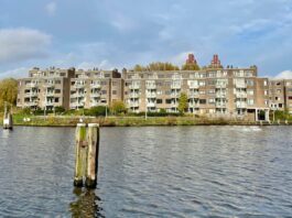 Toch weer wandelen met de hond op Kop van Jut