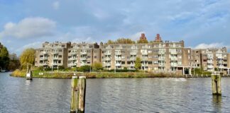 Toch weer wandelen met de hond op Kop van Jut