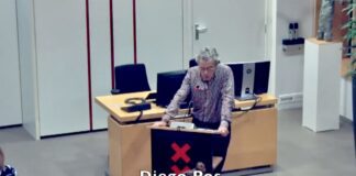 DE RAADMAAT – De grasmat van het Westerpark