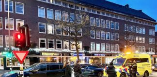 Fatbikes en vogelhuisjes – De 15 meest gelezen nieuwsartikelen van 2023