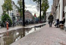 ‘West moet helpen met klimaatbestendig maken tuinen’