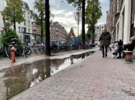 ‘West moet helpen met klimaatbestendig maken tuinen’