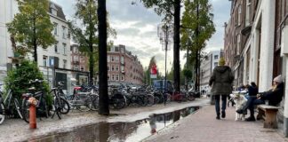 ‘West moet helpen met klimaatbestendig maken tuinen’