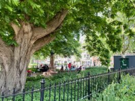 West is de afgelopen jaren ietsje groener geworden