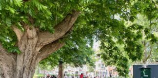 West is de afgelopen jaren ietsje groener geworden